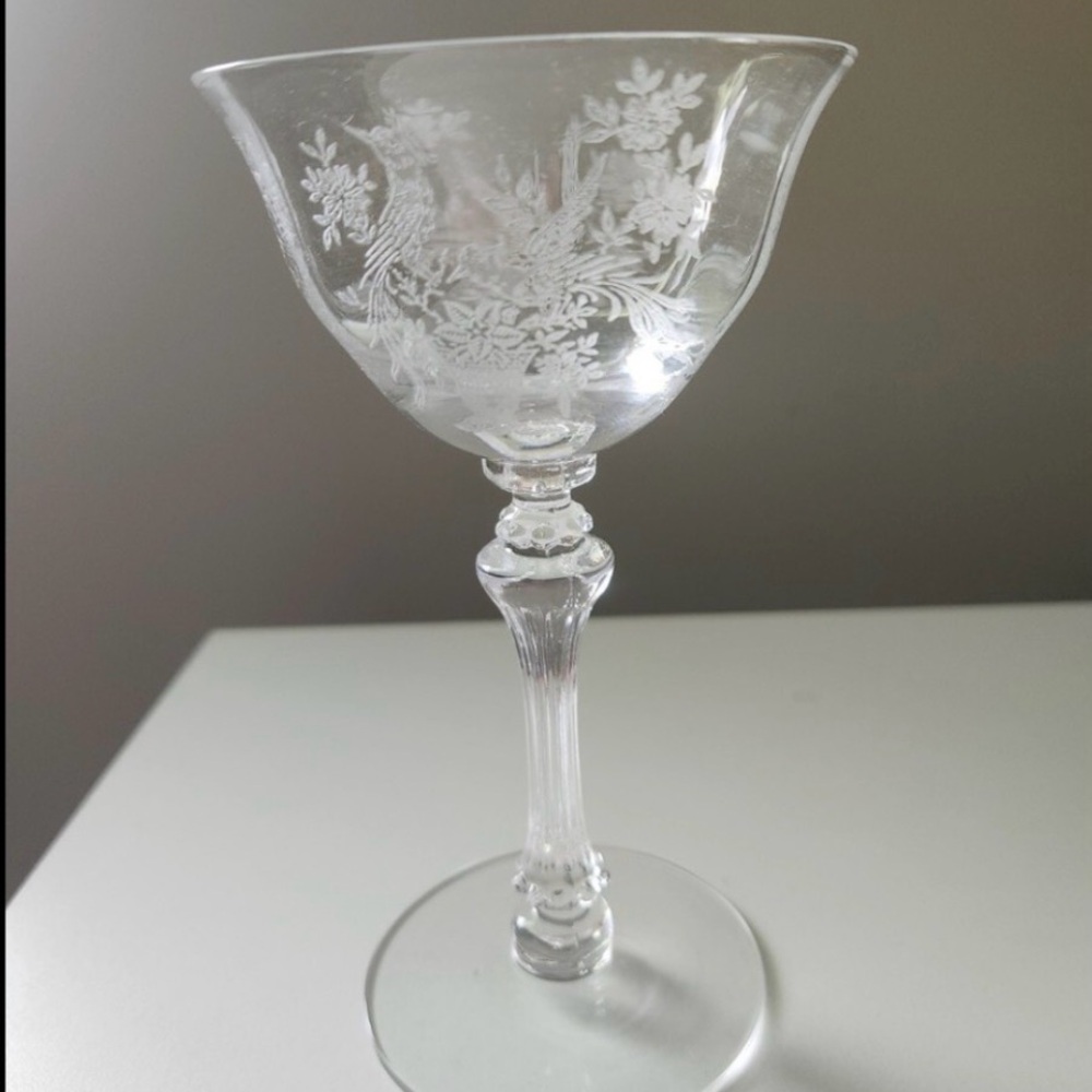 TIFFIN Persian Pheasant cocktail champagne glass wine TIFFIN-FRANCISCAN 8oz.